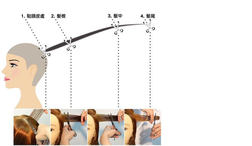 調整髮型量感及髮型再現性的五個關鍵點